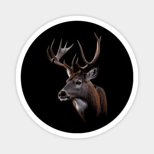 Majestic Deer Buck Stunning Buck Portrait Magnet